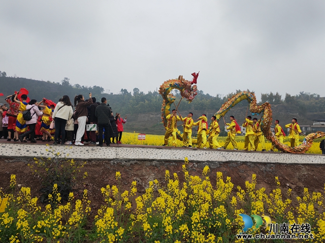 百和莲枪龙舞动花海（曾佐然摄）.jpg