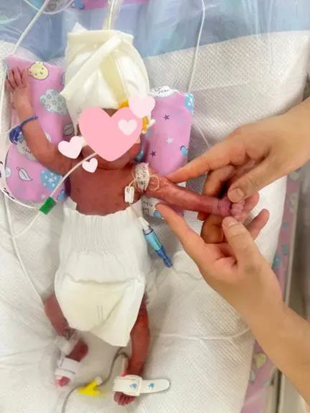 “龙宝宝”们,抬头啦!(图3) 3.jpg