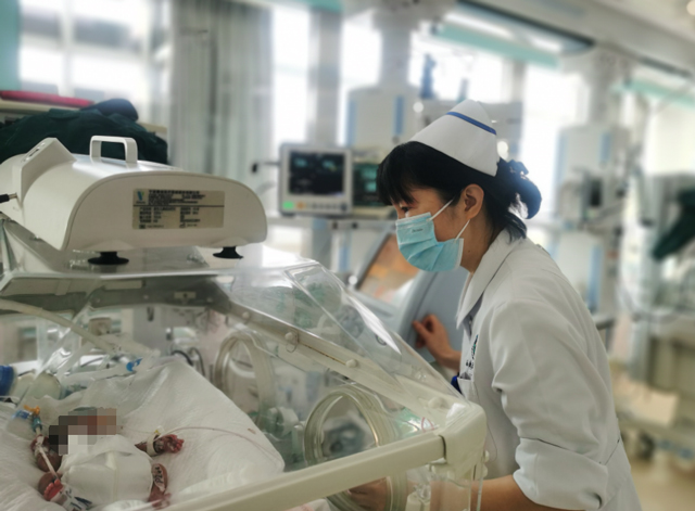 “龙宝宝”们，抬头啦！