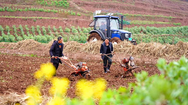 龙抬头|龙马潭:好年景,春开头!(图2) 2.jpg
