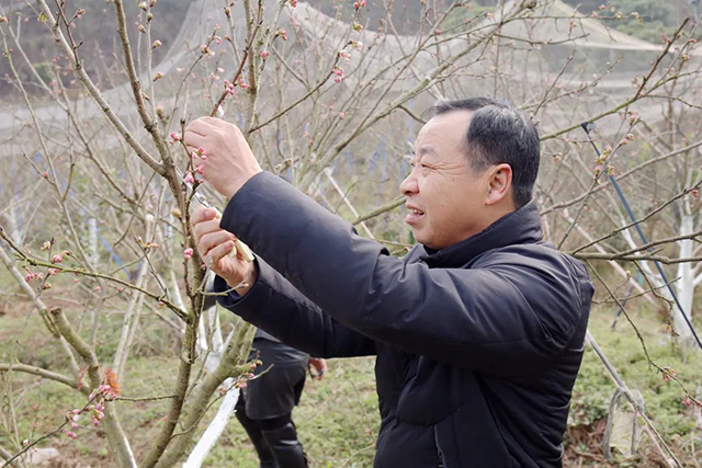 龙抬头|龙马潭:好年景,春开头!(图3) 3.jpg