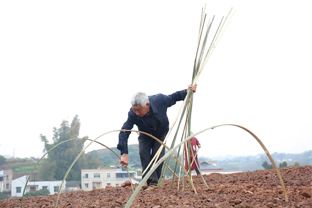 龙抬头|龙马潭:好年景,春开头!(图4) 4.jpg