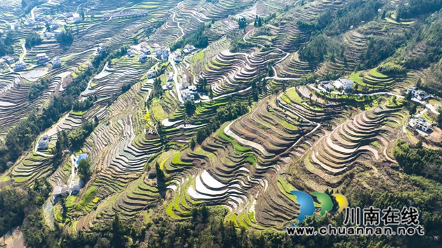 不负好春光!古蔺春耕备耕绘就春天美景(图1) 风1.jpg