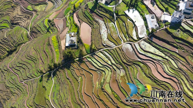 不负好春光!古蔺春耕备耕绘就春天美景(图2) 风2.jpg