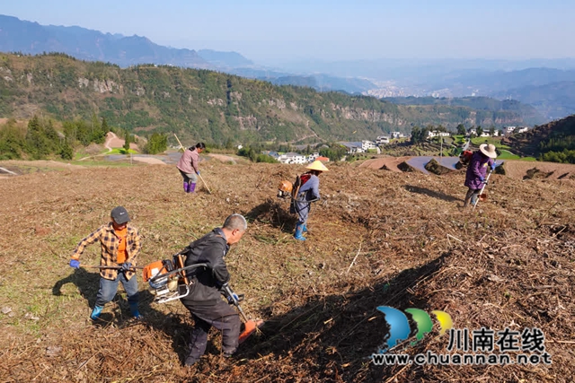 不负好春光!古蔺春耕备耕绘就春天美景(图5) 风5.jpg