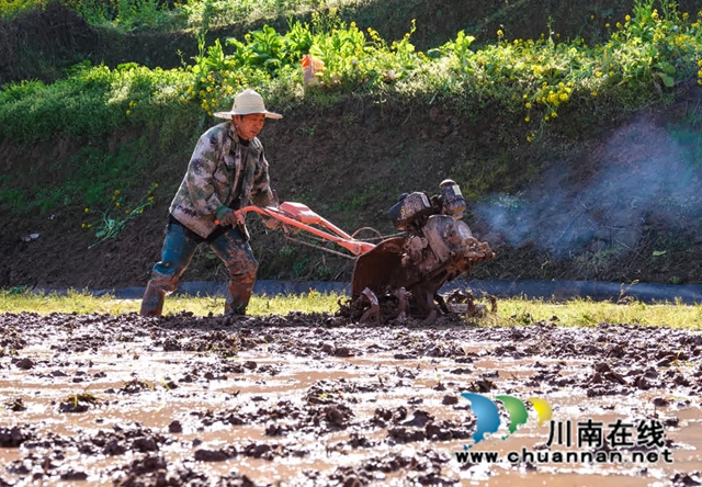 不负好春光!古蔺春耕备耕绘就春天美景(图4) 风4.jpg
