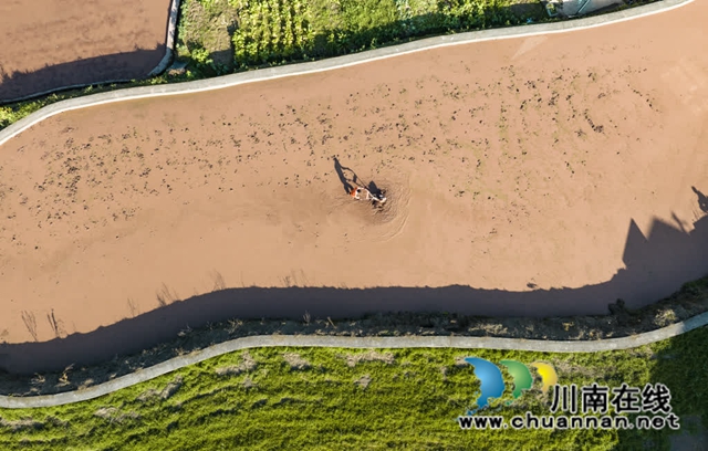 不负好春光!古蔺春耕备耕绘就春天美景(图6) 风6.jpg