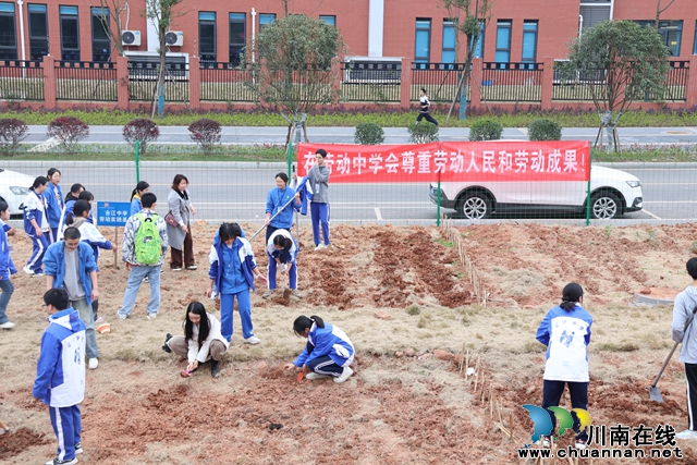 学生劳动.JPG