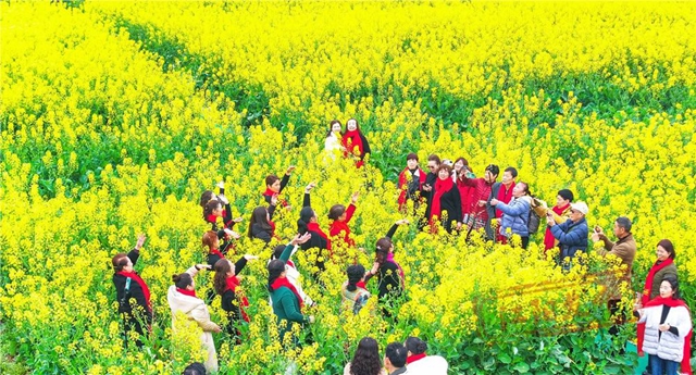 醉江阳,春意浓!踏青赏花季10余项精彩“剧透”来啦~(图4) 微信图片_20240319102806.jpg