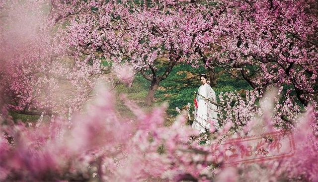 醉江阳,春意浓!踏青赏花季10余项精彩“剧透”来啦~(图9) 微信图片_20240319102830.jpg