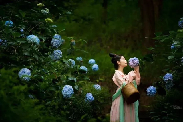 醉江阳,春意浓!踏青赏花季10余项精彩“剧透”来啦~(图16) 微信图片_20240319102904.jpg