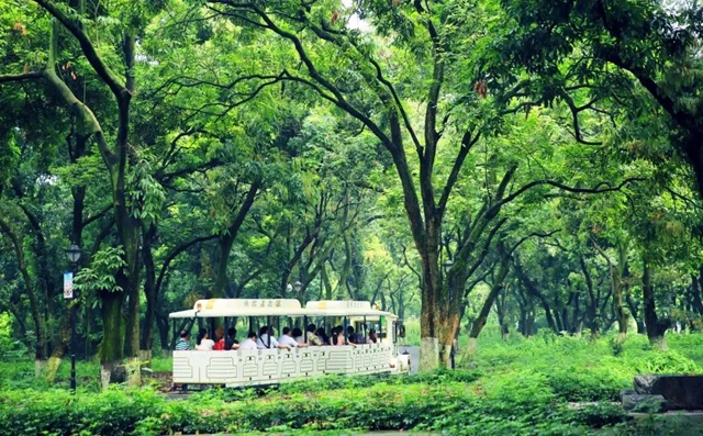 醉江阳,春意浓!踏青赏花季10余项精彩“剧透”来啦~(图17) 微信图片_20240319102909.jpg