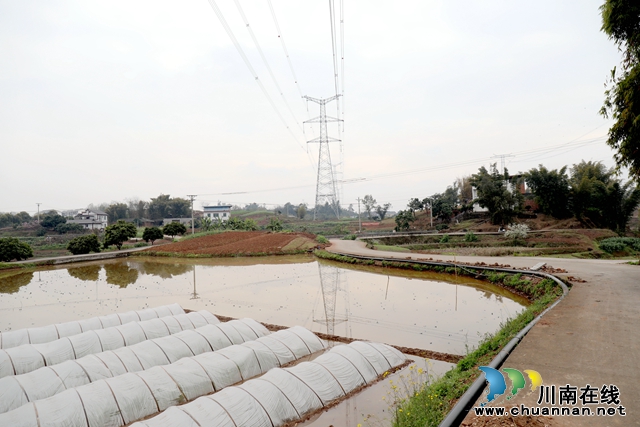 新增设管道，织密农田“灌溉网” (3).JPG