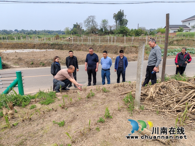 泸县云龙镇到宜宾市长宁县、泸州市江阳区考察学习甘蔗产业发展工作(图2) f2bd8702edf75303ab38d7a7c4c39c0.jpg