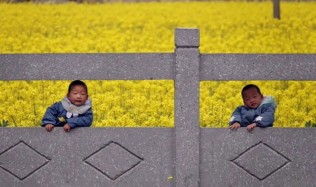 古蔺 “一片鹅黄”引客来!川南最晚油菜花海迎来最佳赏花期……(图6) 6.jpg