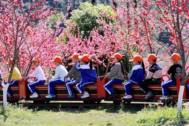 人民日报关注!泸州这里的桃花美出圈~(图5) 微信图片_20240327103811.jpg