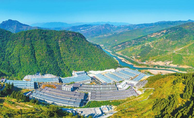 古蔺深入实施“六大世界一流”培育工程 高质量建设赤水河左岸千亿级优质酱酒产业集群