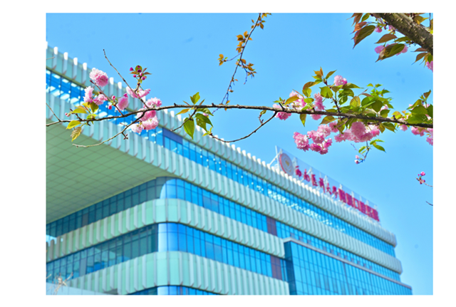 泸州首届院花评选大赛开赛啦！快来为你心中的院花投上一票！