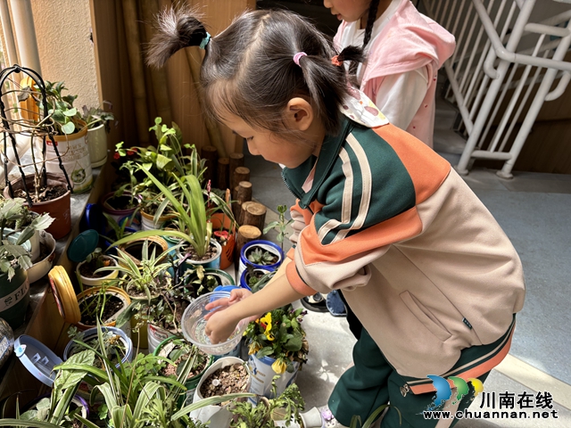 叙永县鱼凫公园幼儿园开展“知水善用，我在行动”世界水日暨中国水周主题活动 (1).jpg