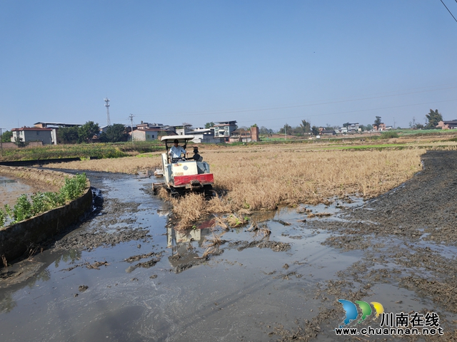 耕地机耕地（曾佐然摄）.jpg