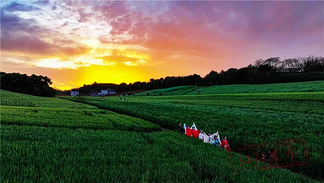 春日郊游丨周末怎么玩?看看泸州这些地方(图1) nEO_IMG_1.jpg