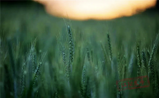 春日郊游丨周末怎么玩?看看泸州这些地方(图2) nEO_IMG_2.jpg