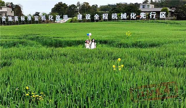 春日郊游丨周末怎么玩?看看泸州这些地方(图4) nEO_IMG_4.jpg