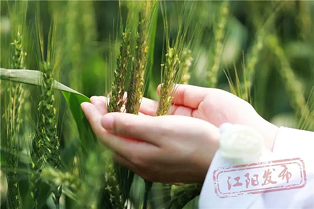 春日郊游丨周末怎么玩?看看泸州这些地方(图5) nEO_IMG_5.jpg