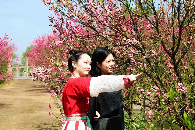 春日郊游丨周末怎么玩?看看泸州这些地方(图24) nEO_IMG_24.jpg