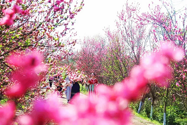 春日郊游丨周末怎么玩?看看泸州这些地方(图23) nEO_IMG_23.jpg