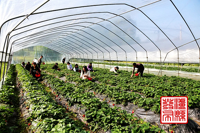 春日郊游丨周末怎么玩?看看泸州这些地方(图27) nEO_IMG_60.jpg