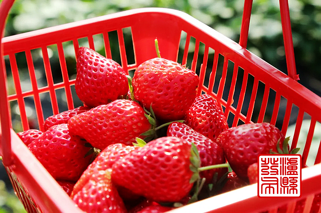 春日郊游丨周末怎么玩?看看泸州这些地方(图30) nEO_IMG_63.jpg