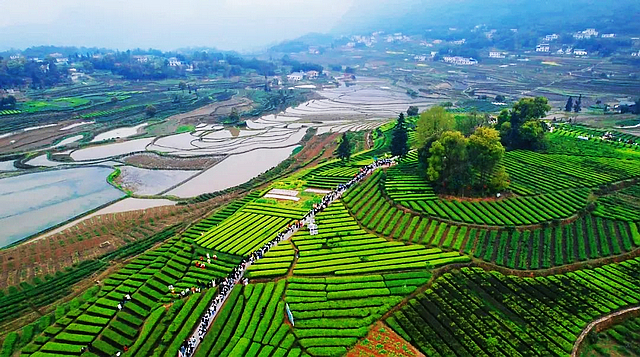 春日郊游丨周末怎么玩?看看泸州这些地方(图36) nEO_IMG_53.jpg