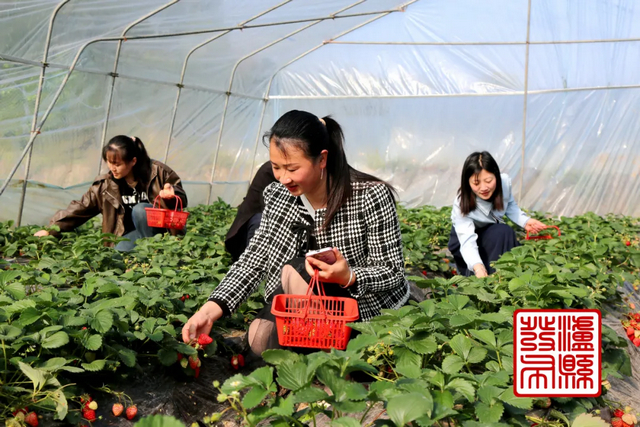 春日郊游丨周末怎么玩?看看泸州这些地方(图31) 100.jpg