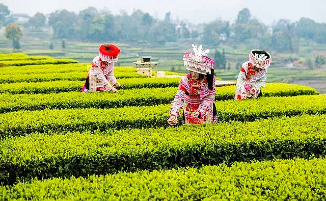 春日郊游丨周末怎么玩?看看泸州这些地方(图39) nEO_IMG_56.jpg