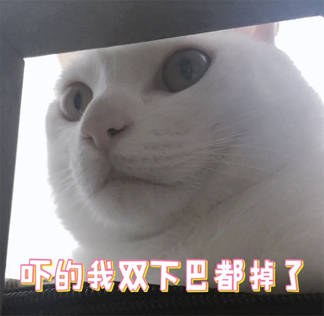 【真事】泸州小学生下巴……掉了！