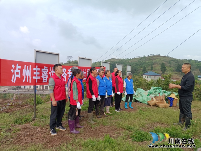 泸州丰睿达劳务专合社劳务经纪人张陶（右一）在泸县云锦镇长潮村青年党员创业示范基地务工现场为部分社员强调工作要求.jpg