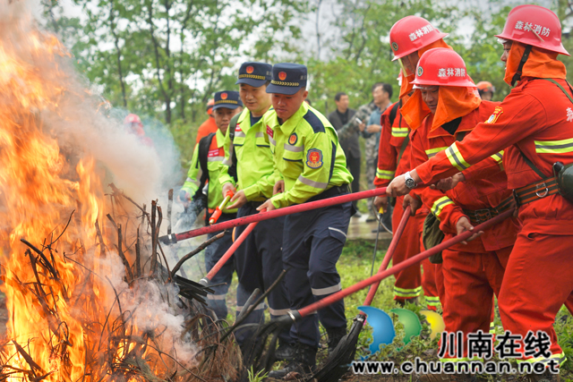 泸县百和镇联合永川仙龙镇开展森林防灭火应急演练(图1) 微信图片_20240403101751.jpg