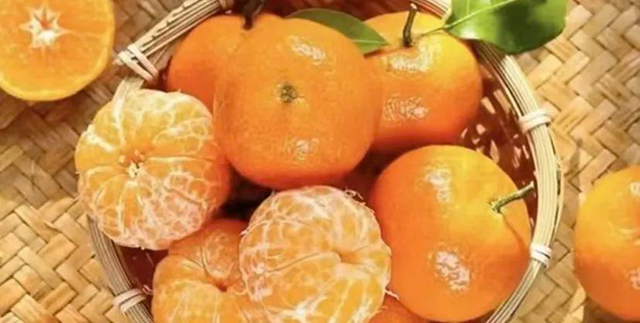 水果采摘 泸州公交出行攻略来咯!(图2) 2.jpg