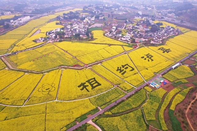 微信图片_20240407101746.jpg