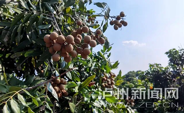 微信图片_20240407101831.jpg