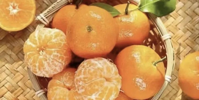 水果采摘公交出行攻略来咯!(图2) 微信图片_20240407105857.jpg