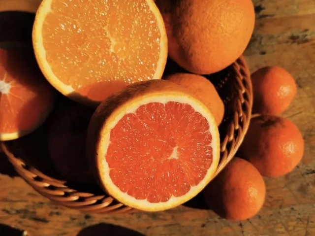 水果采摘公交出行攻略来咯!(图5) 微信图片_20240407105910.jpg