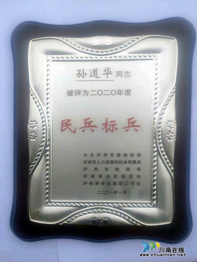 图3：孙道华担任村书记后所获荣誉之一.jpg