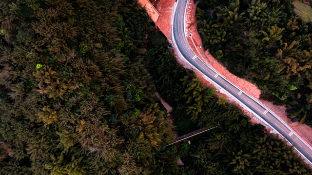 看!纳溪摄影人镜头里的春天(图2) 56c9fe5ea440483b999d14994ca154b5_b.jpg