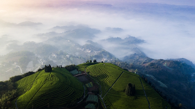 看!纳溪摄影人镜头里的春天(图3) 8eb48d17eb5940d283e5e42d32ce2c58_b.jpg