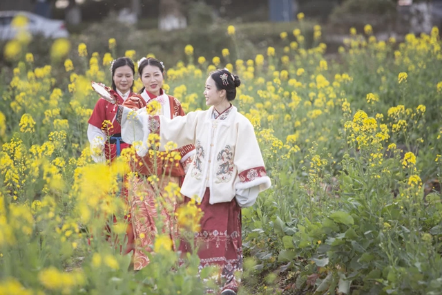 看!纳溪摄影人镜头里的春天(图4) 45be4501c64b44fc835843cb8a982062_b.jpg