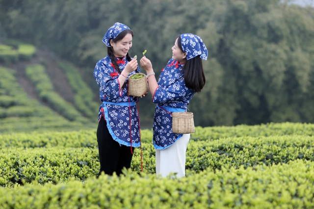 看!纳溪摄影人镜头里的春天(图8) df8adfce79794839b420ba5303887836_b.jpg