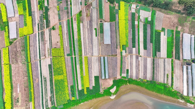 看!纳溪摄影人镜头里的春天(图10) 87bdee29a7194a65b6a201f74981056f_b.jpg