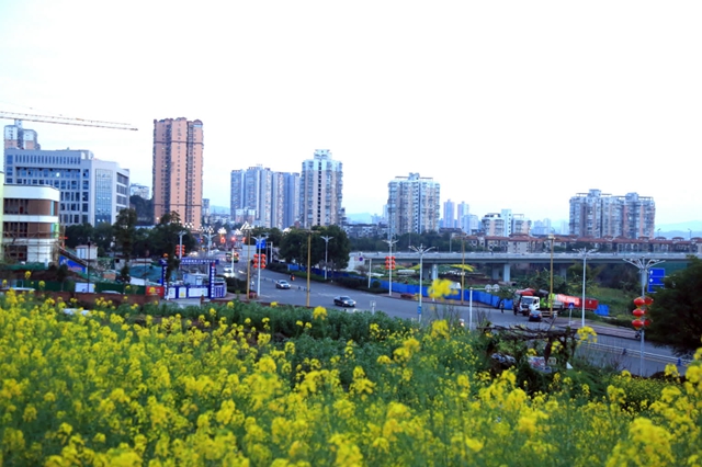 看!纳溪摄影人镜头里的春天(图13) e379a18fe5494d7ea41cd79a4486b5c9_b.jpg